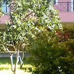 Lejlighedshotel House Luxury Gouvia